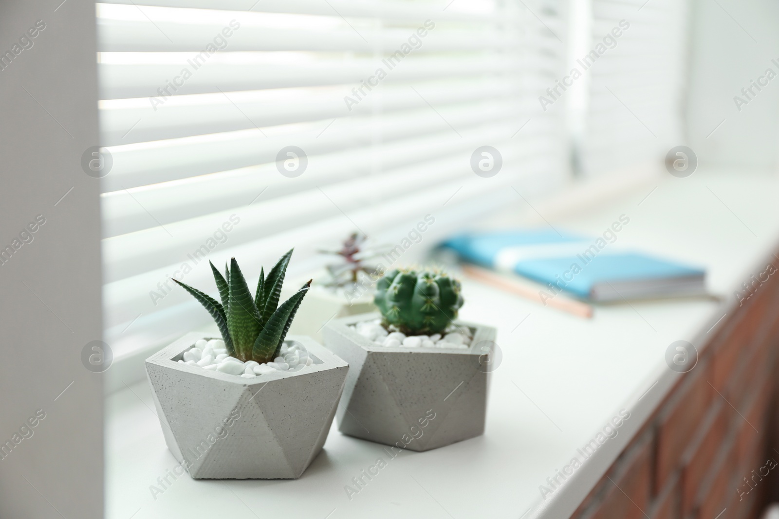 Photo of Window with blinds and potted plants on sill, space for text