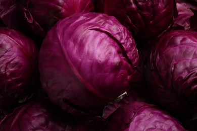 Photo of Many fresh ripe red cabbages as background