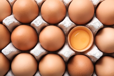 Photo of Raw chicken eggs in carton, top view