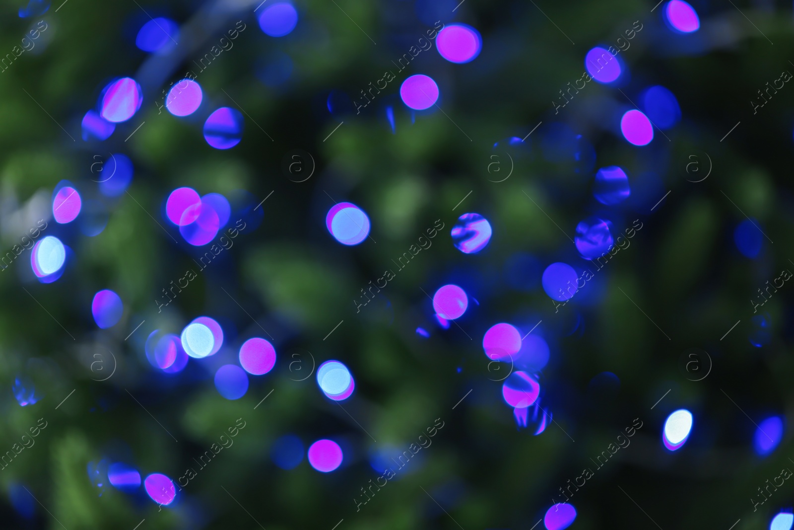 Photo of Abstract background with blurred violet Christmas lights, bokeh effect