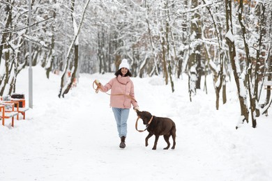 Photo of Woman walking with adorable Labrador Retriever dog in snowy park