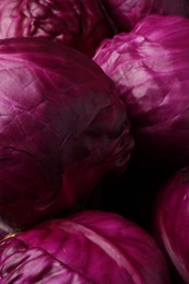 Photo of Many fresh ripe red cabbages as background, closeup