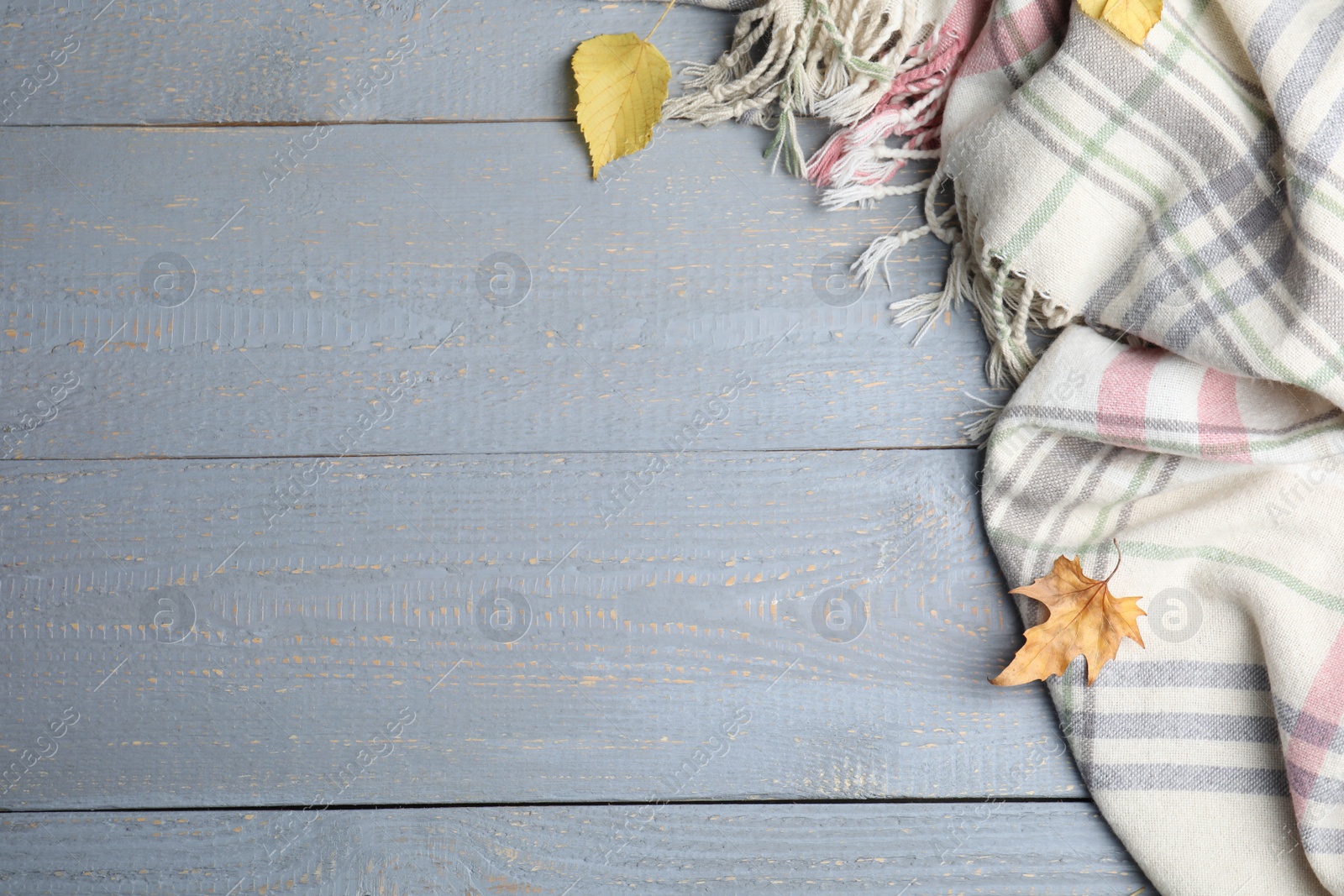 Photo of Checkered plaid and dry leaves on light grey wooden table, flat lay. Space for text