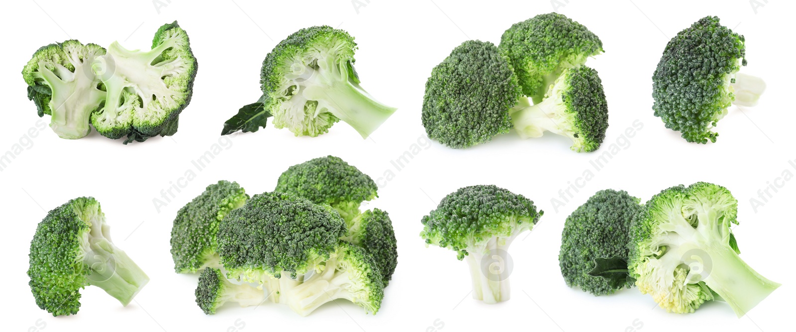 Image of Set of fresh green broccoli on white background, banner design 