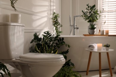 Photo of Stylish bathroom interior with white toilet bowl green houseplants