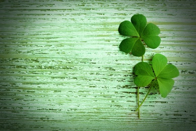 Clover leaves on light green wooden table, flat lay with space for text. St. Patrick's Day symbol