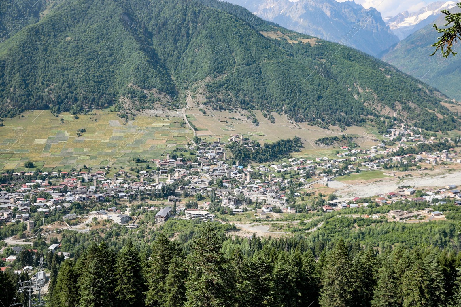 Photo of Beautiful landscape with green trees and mountains