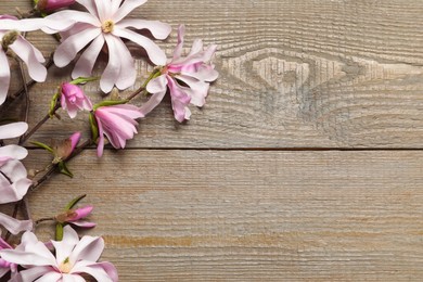 Photo of Magnolia tree branches with beautiful flowers on wooden table, flat lay. Space for text