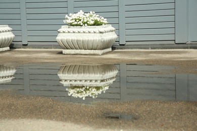 Photo of Puddle on asphalt road near flower beds outdoors. Rainy weather