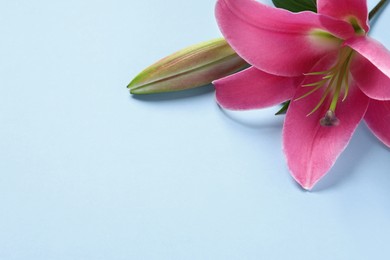 Photo of Beautiful pink lily flower on light blue background, closeup. Space for text