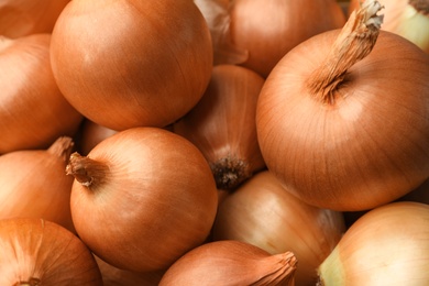 Many ripe onion bulbs as background, closeup