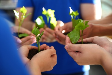 Group of volunteers holding soil with sprouts in hands outdoors, closeup