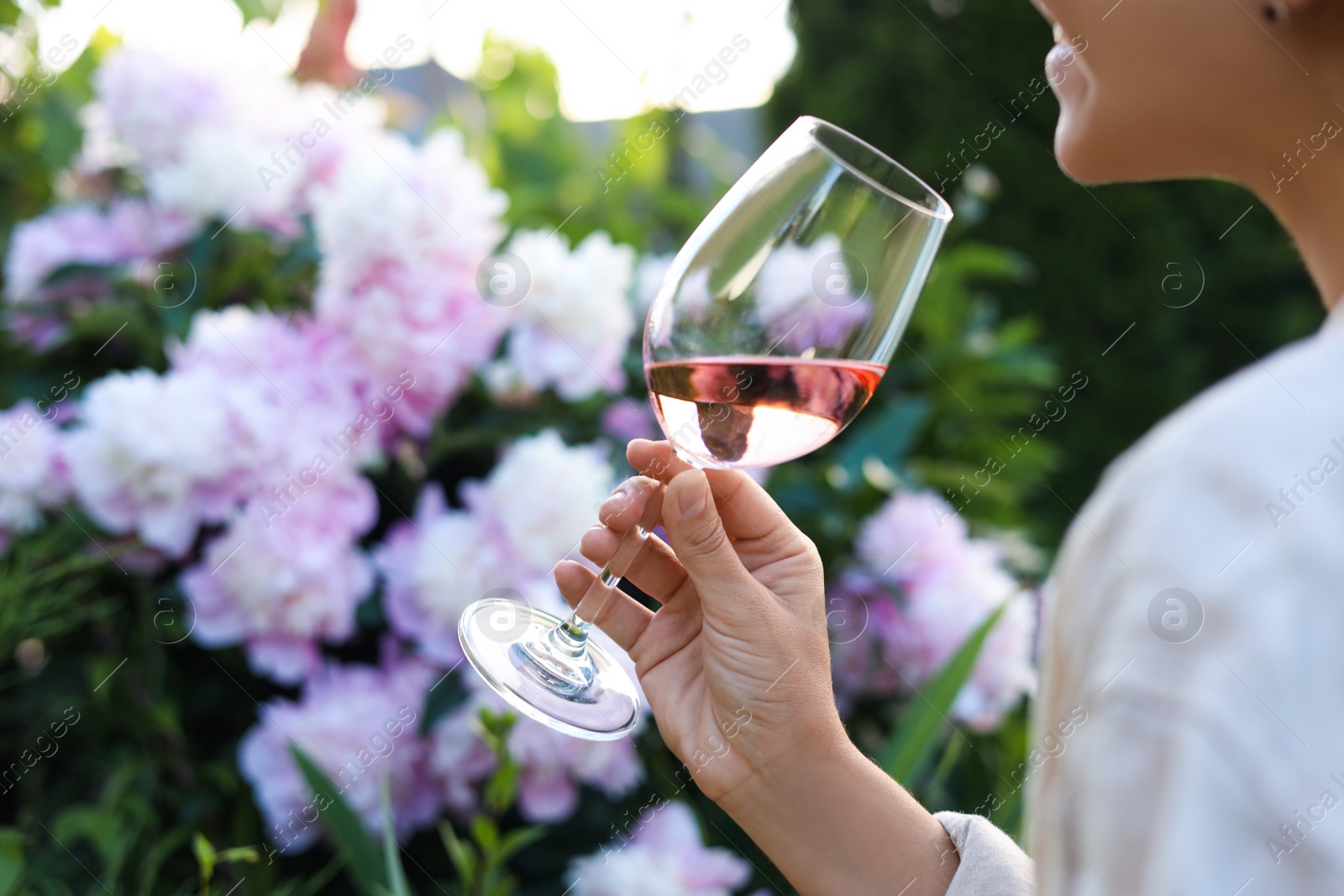 Photo of Woman with glass of rose wine in peony garden, closeup