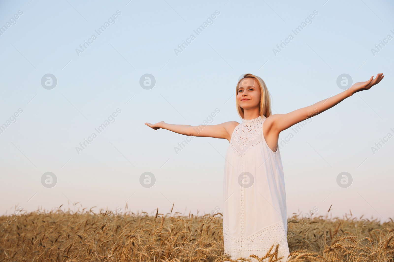 Photo of Woman in ripe wheat spikelets field. Space for text