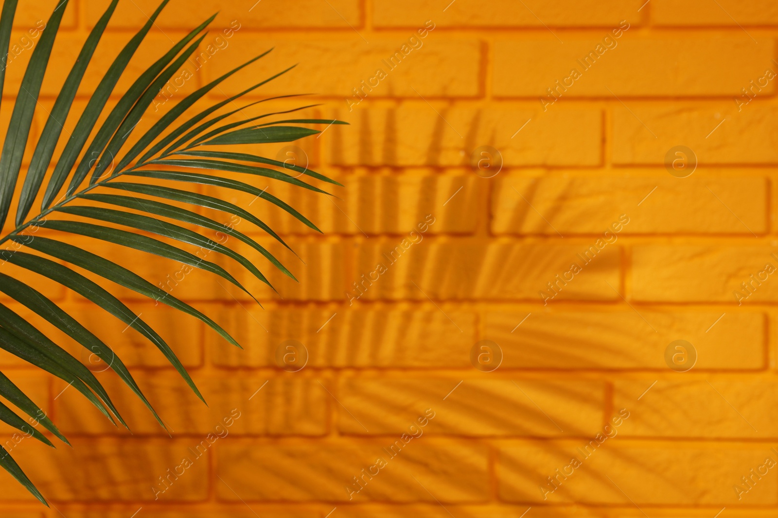 Image of Shadow cast by tropical palm leaf on orange brick wall, space for text