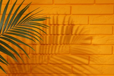 Image of Shadow cast by tropical palm leaf on orange brick wall, space for text