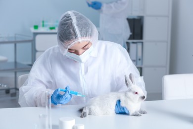 Scientist working with rabbit in chemical laboratory. Animal testing