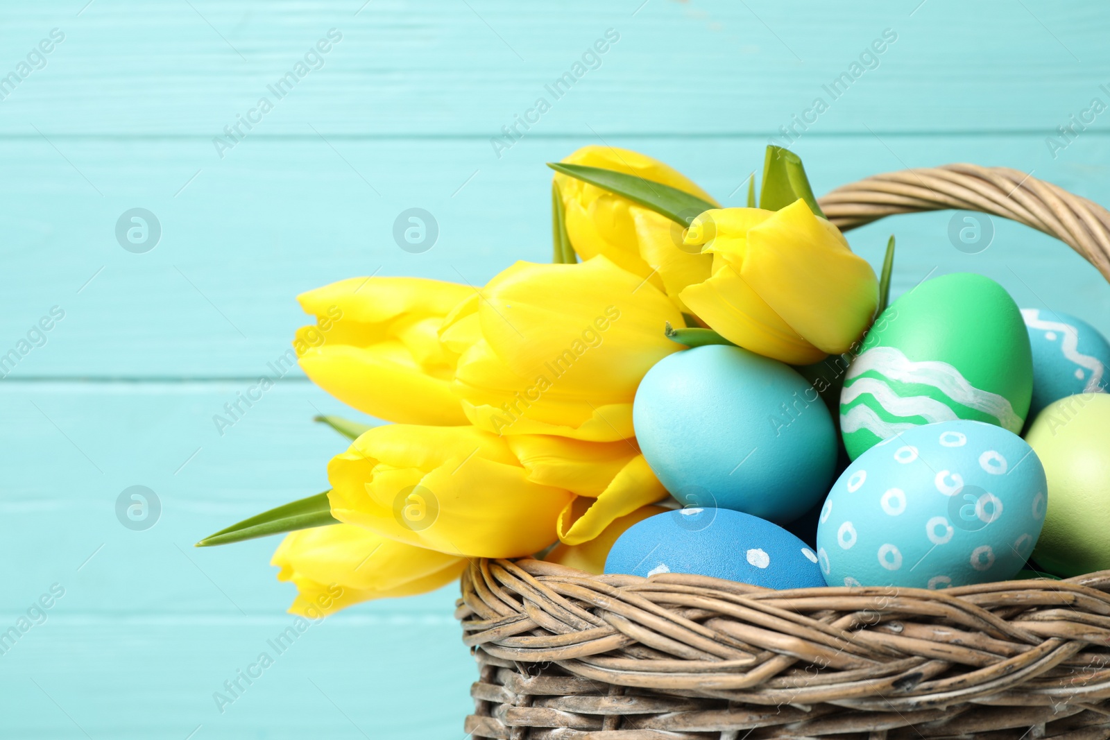 Photo of Easter eggs and yellow tulips in wicker basket on light blue background, closeup