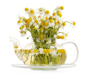 Aromatic herbal tea in glass teapot with chamomile flowers isolated on white
