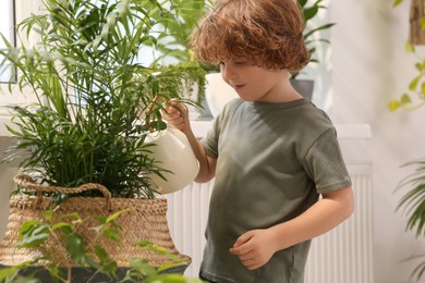 Cute little boy watering beautiful green plant at home. House decor