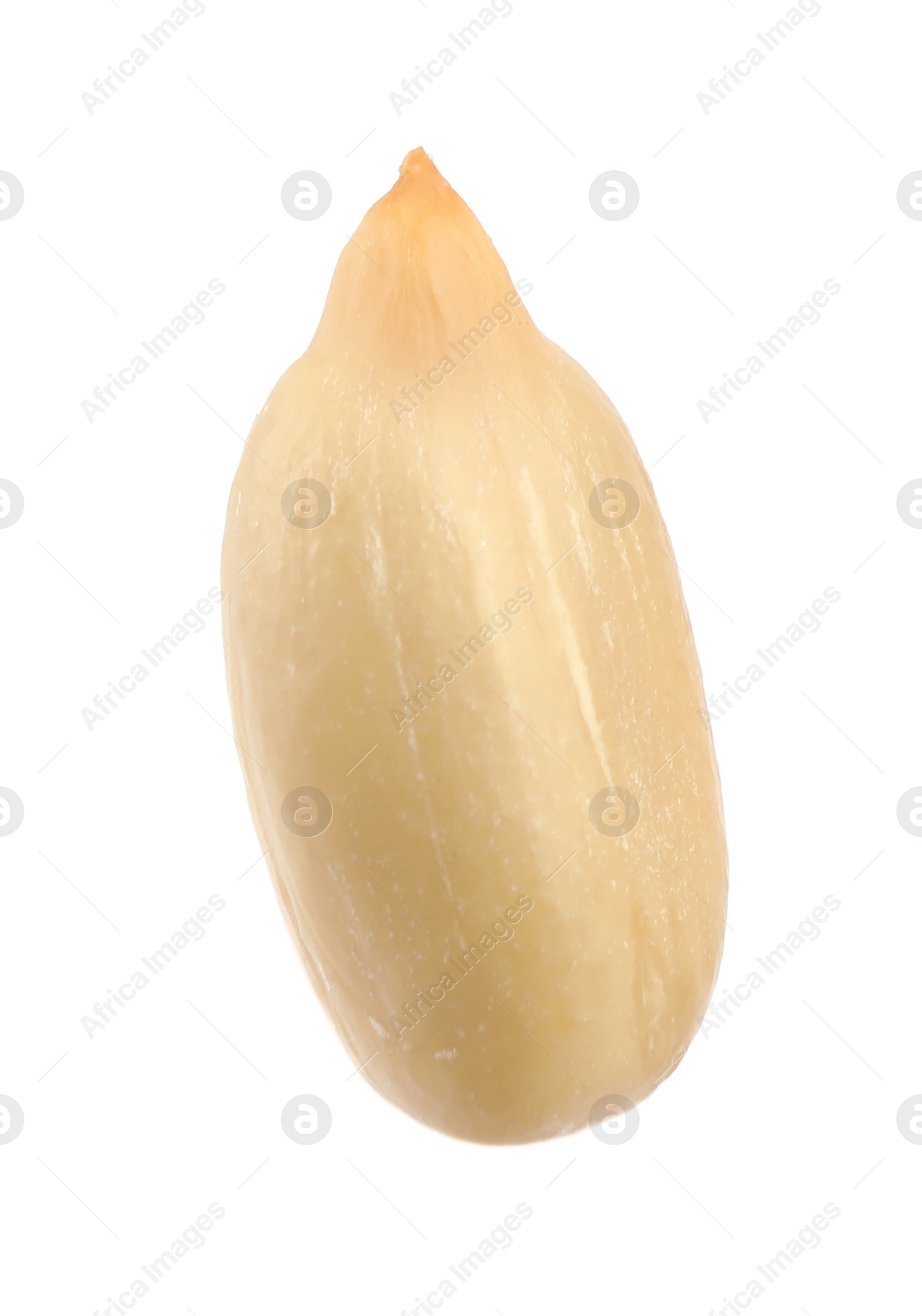 Photo of Raw peeled sunflower seed isolated on white