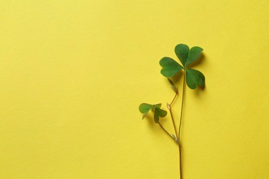 Green clover on yellow background, flat lay. Space for text