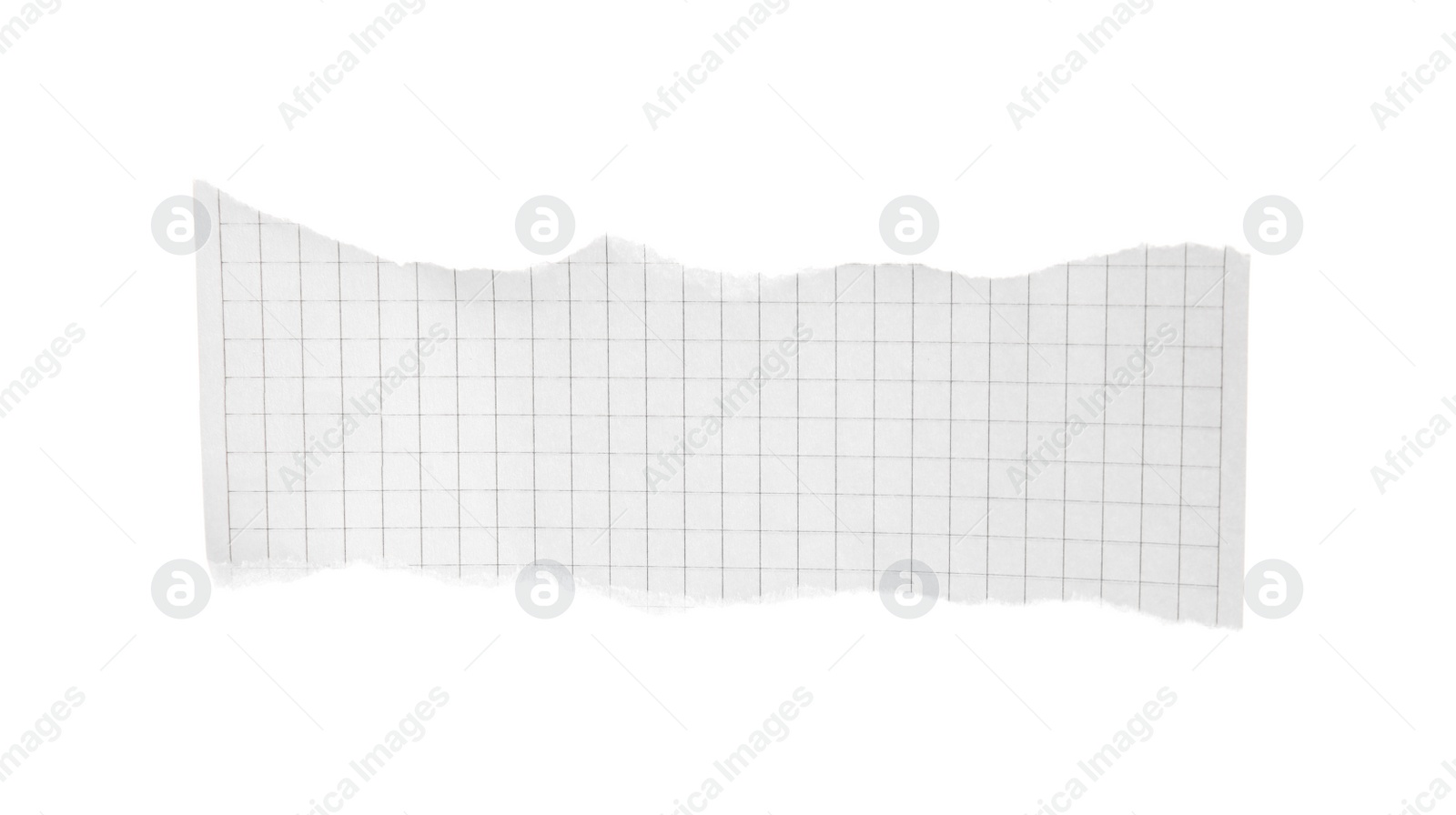 Photo of Piece of paper isolated on white. Space for text