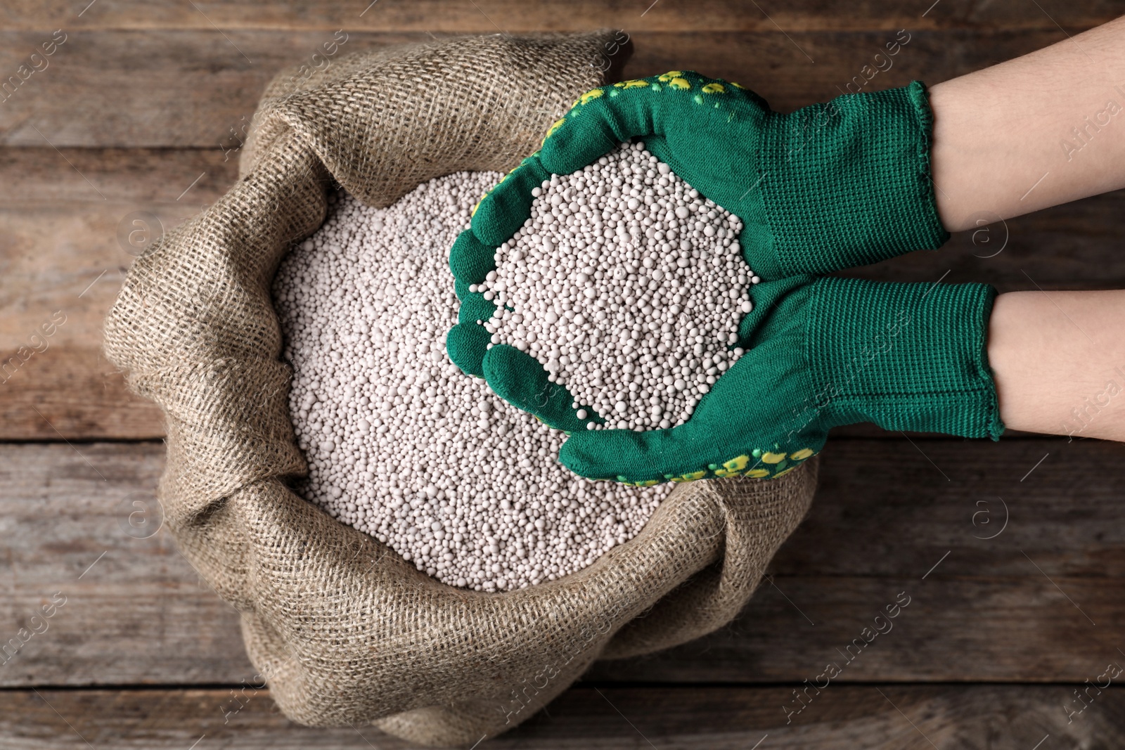 Photo of Woman with handful of fertilizer over bag on wooden table, top view. Horticulture and gardening