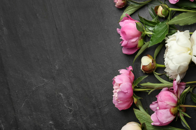 Photo of Beautiful peonies on black slate table, flat lay. Space for text