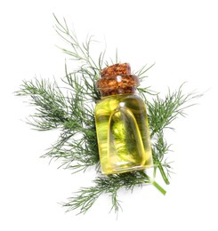 Photo of Bottle of essential oil and fresh dill isolated on white, top view