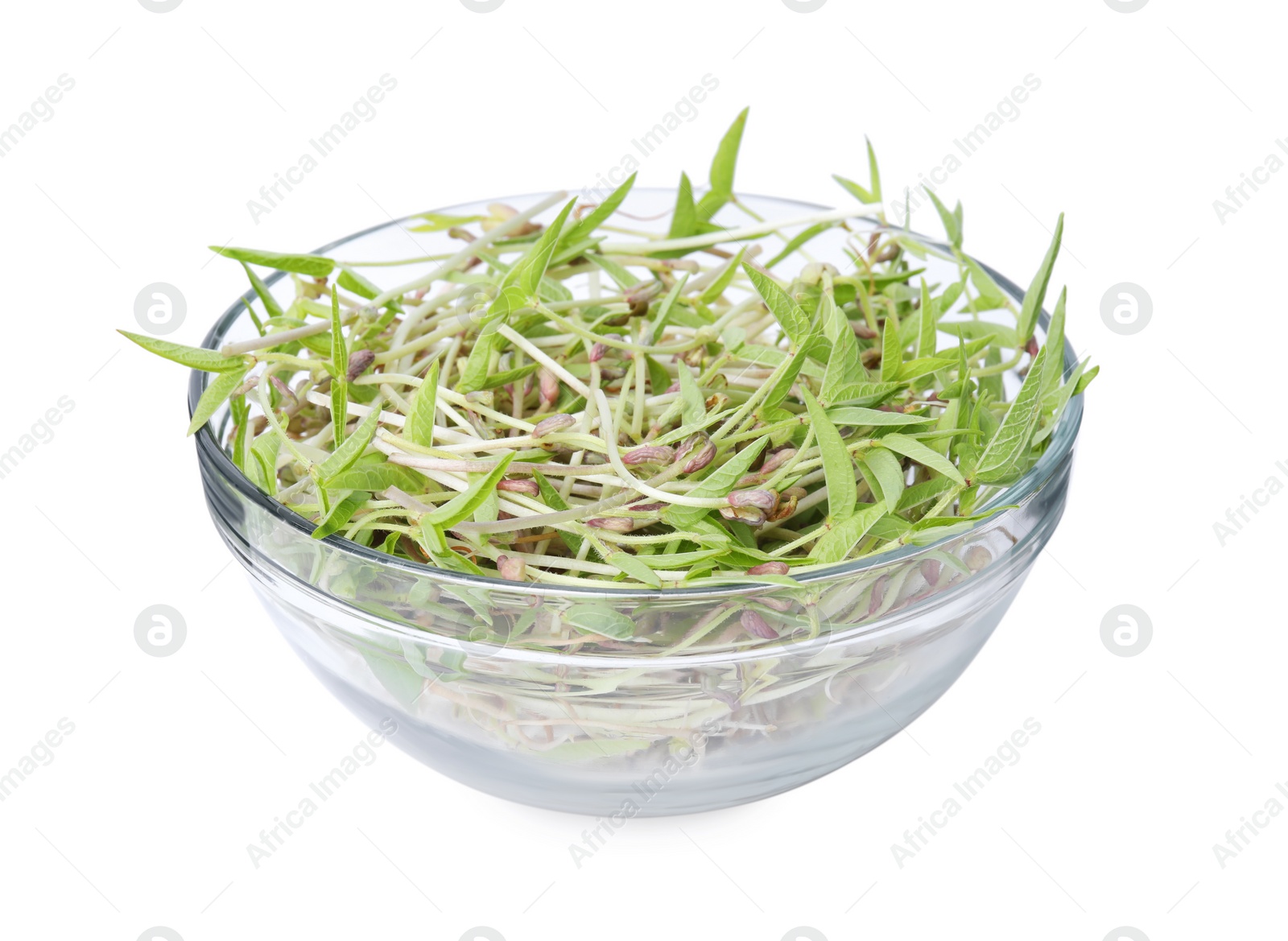 Photo of Mung bean sprouts in glass bowl isolated on white