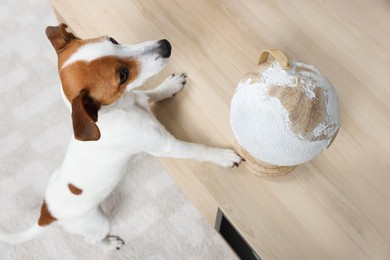 Photo of Dog near globe at wooden table indoors. Travel with pet concept
