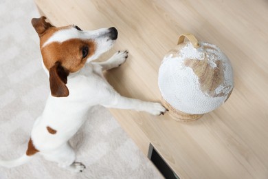 Dog near globe at wooden table indoors. Travel with pet concept