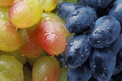 Fresh ripe juicy grapes with water drops as background, closeup