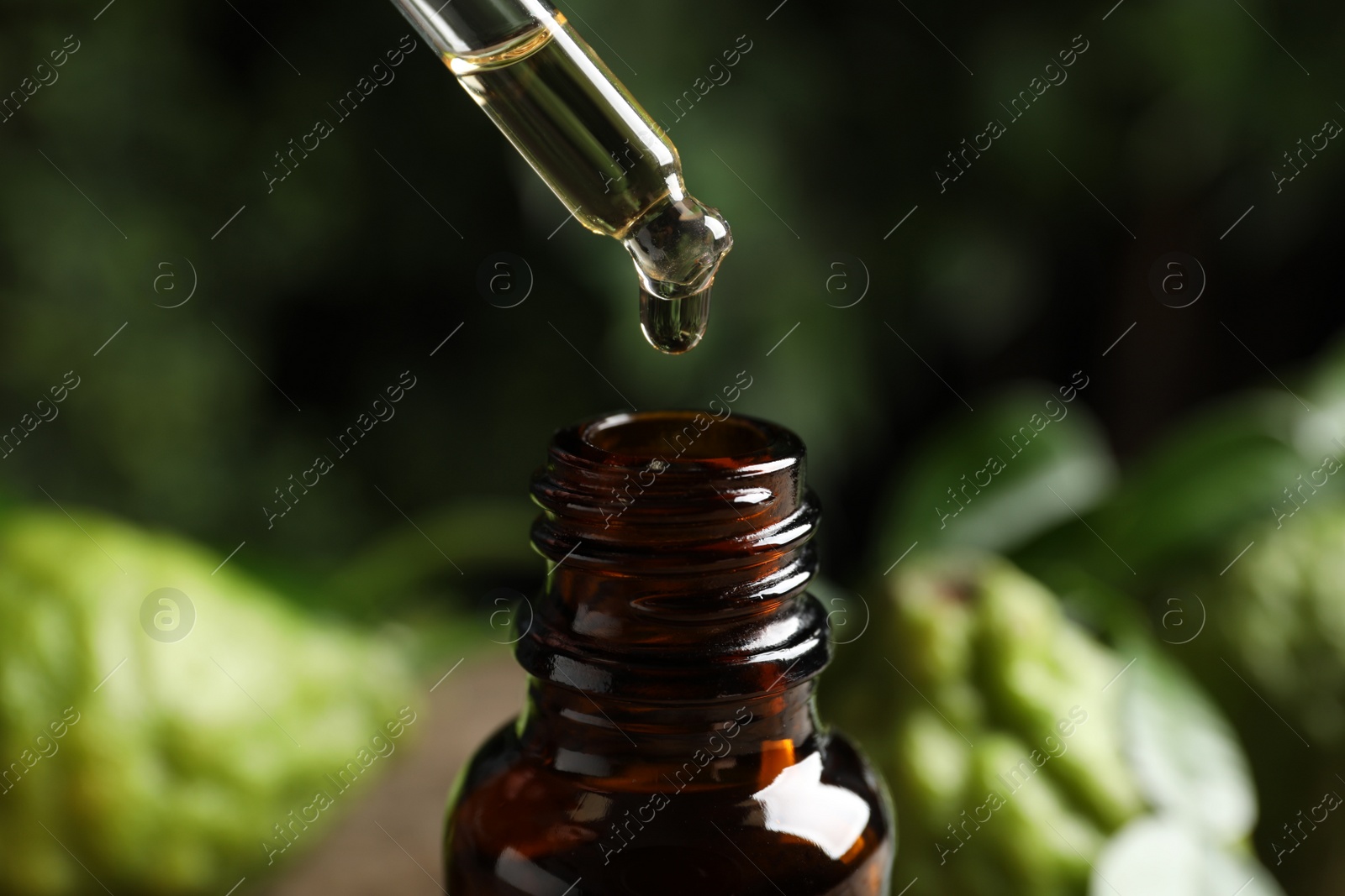 Photo of Dripping bergamot essential oil into glass bottle against blurred background, closeup