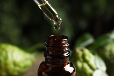 Dripping bergamot essential oil into glass bottle against blurred background, closeup
