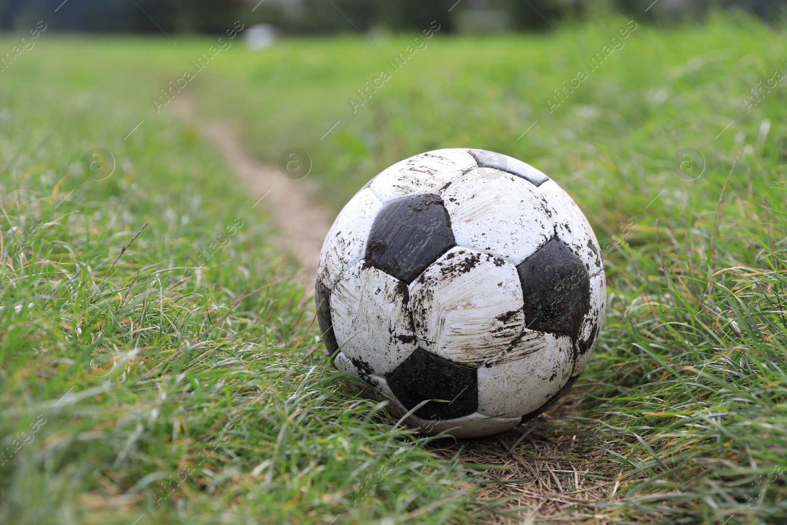 Photo of Dirty soccer ball on green grass outdoors