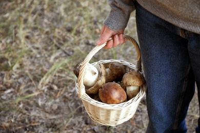 Photo of Woman holding wicker basket with fresh wild mushrooms in forest, closeup