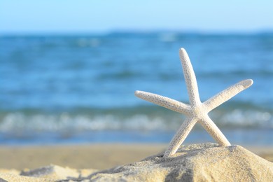 Photo of Beautiful starfish on sandy beach near sea, closeup. Space for text