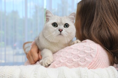 Photo of Adorable white British Shorthair cat with his owner at home, closeup. Cute pet