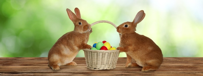 Adorable bunnies and wicker basket with Easter eggs on wooden surface outdoors. Banner design