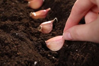 Photo of Woman planting garlic cloves into fertile soil, closeup