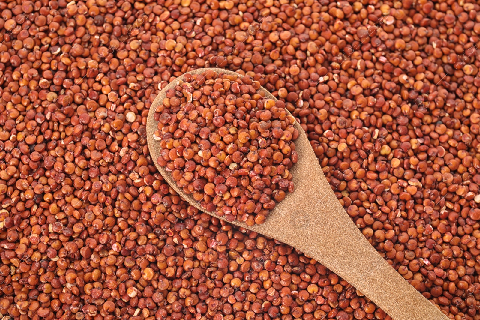 Photo of Raw red quinoa seeds with spoon as background, top view