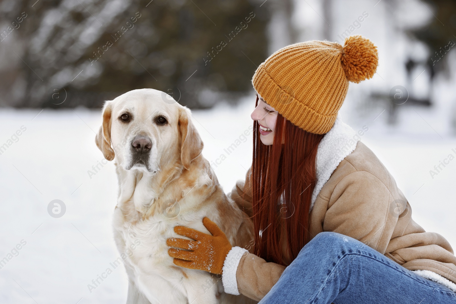 Photo of Beautiful young woman with adorable Labrador Retriever on winter day outdoors