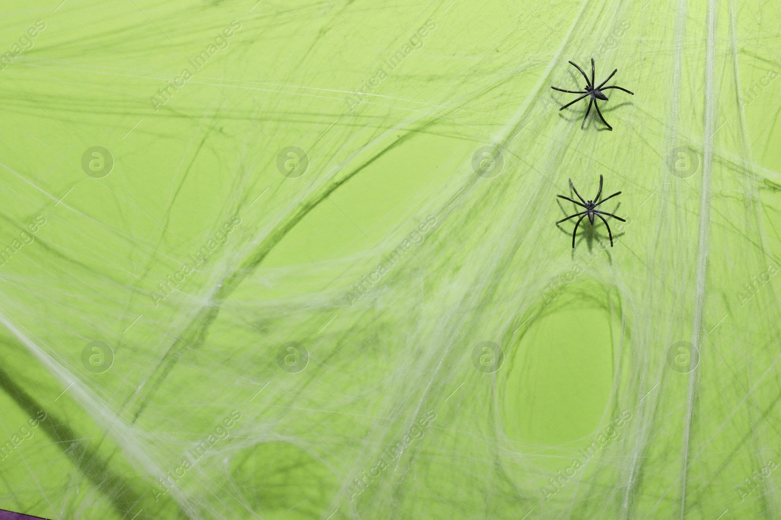 Photo of Cobweb and spiders on green background, top view