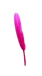 Fluffy beautiful magenta feather isolated on white
