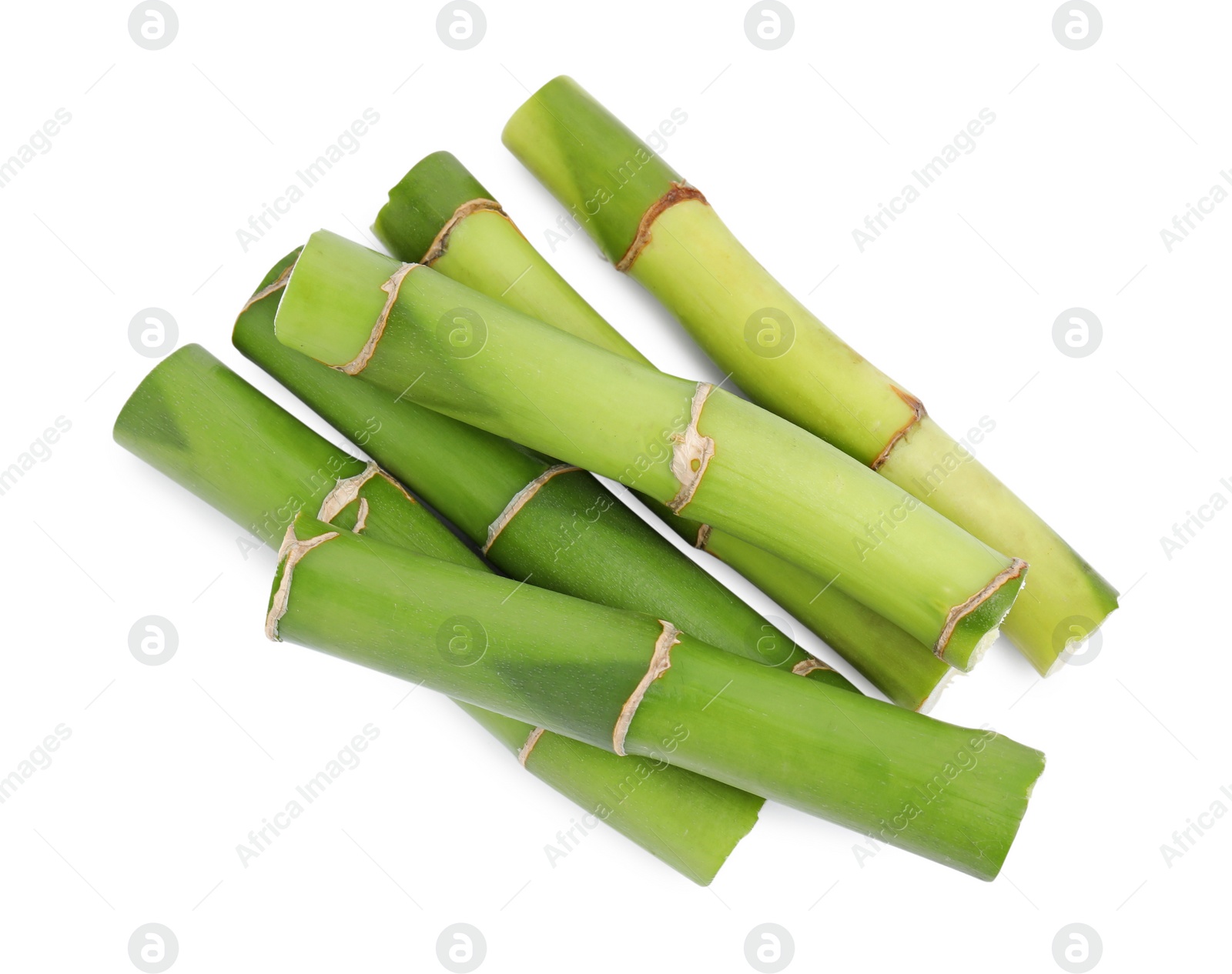 Photo of Pieces of beautiful green bamboo stems on white background, top view