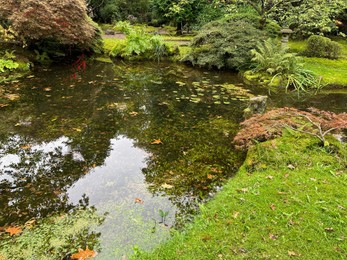 Photo of Beautiful pond, stone lantern, bright moss and other plants in Japanese garden