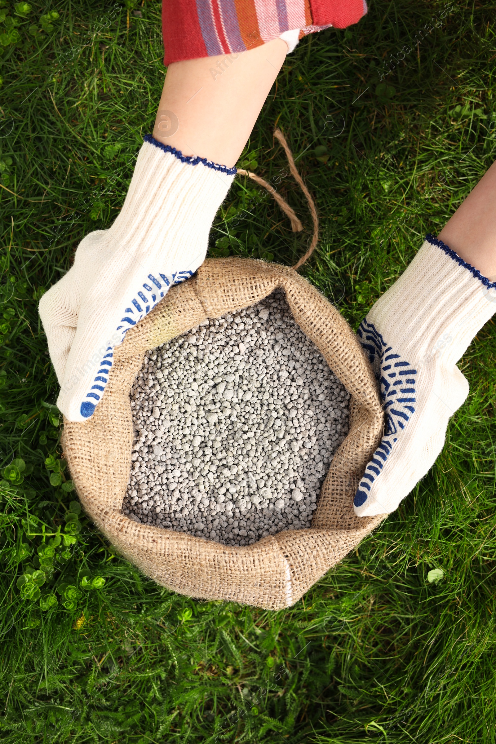 Photo of Woman with bag of fertilizer on green grass outdoors, top view