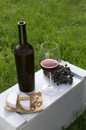 Red wine and snacks for picnic served on green grass outdoors